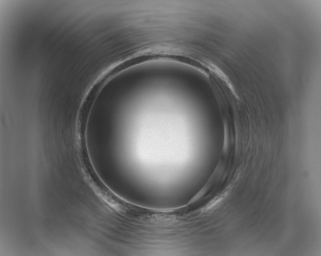 X0000075830981200609151234