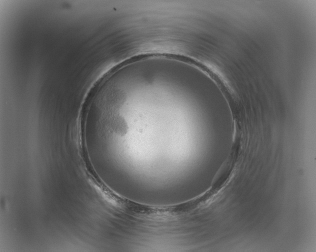 X0000075830982200609151234