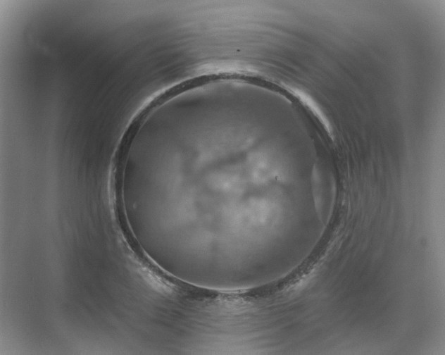 X0000075830983200609151234