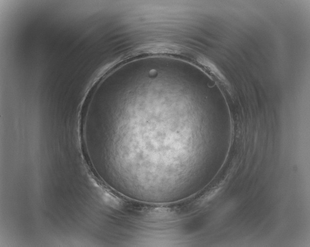 X0000075830986200609151234