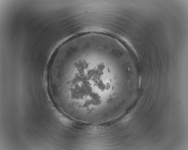 X0000075830987200609151234