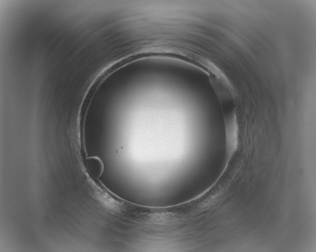 X0000075830988200609151234