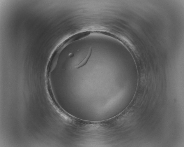 X0000075830990200609151234