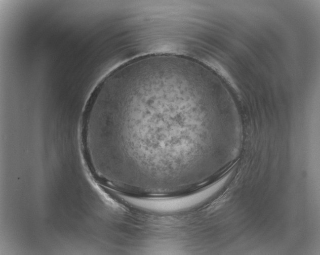 X0000075830991200609151234