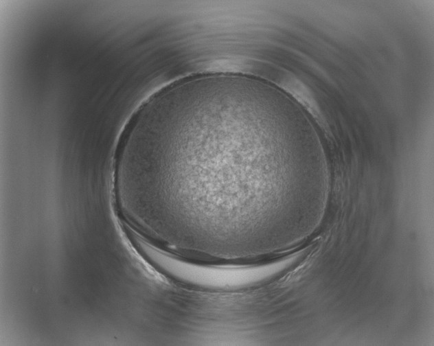 X0000075830992200609151234