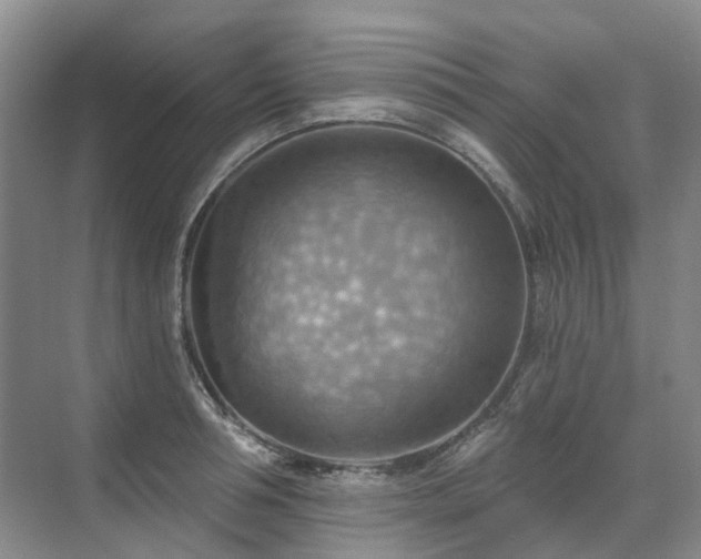 X0000075830994200609151234