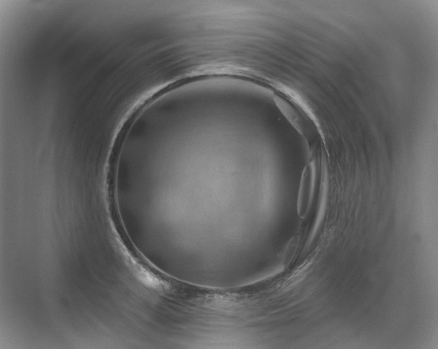 X0000075830995200609151234