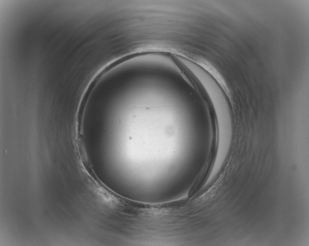 X0000075830996200609151234