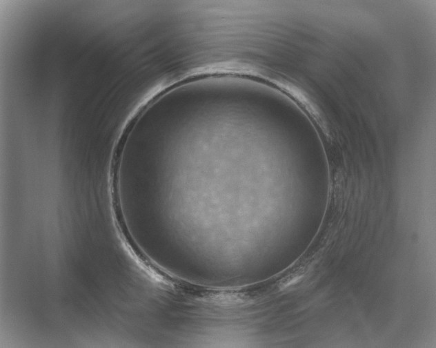 X0000075830998200609151234