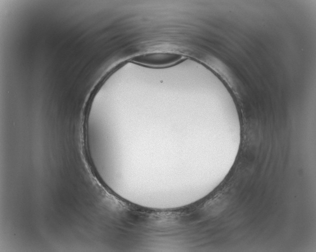 X0000075831000200609151234