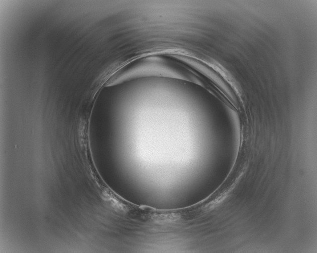 X0000075831001200609151234