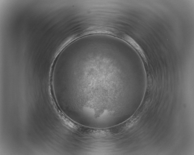 X0000075831002200609151233