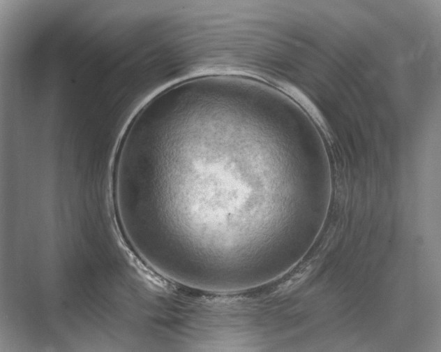 X0000075831004200609151233