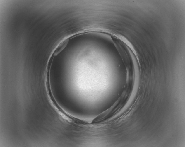 X0000075831005200609151233