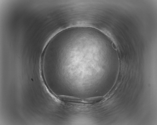 X0000075831006200609151233