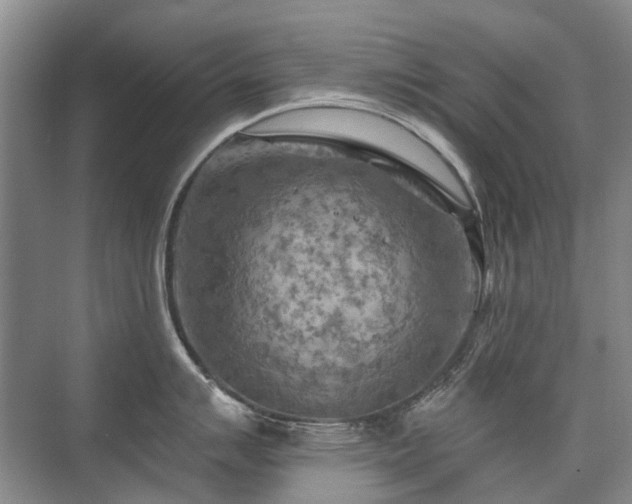 X0000075831007200609151233