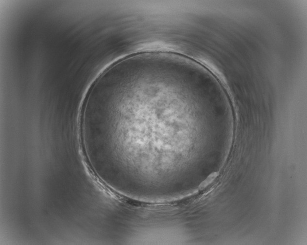 X0000075831008200609151233