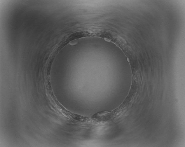 X0000075831009200609151233