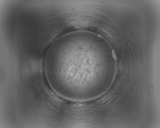 X0000075831012200609151233