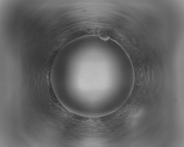 X0000075831013200609151233