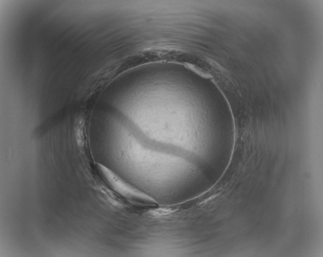 X0000075831014200609151233