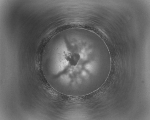 X0000075831015200609151233