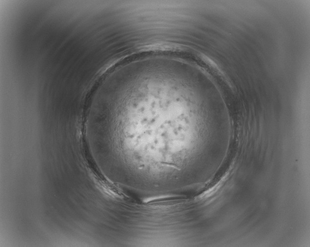 X0000075831017200609151233