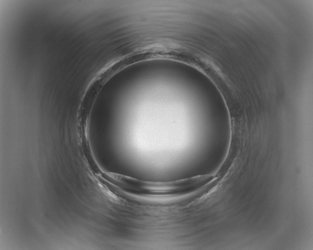 X0000075831018200609151233