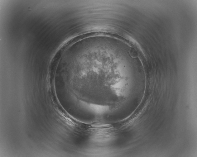 X0000075831019200609151233