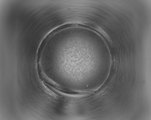 X0000075831020200609151233