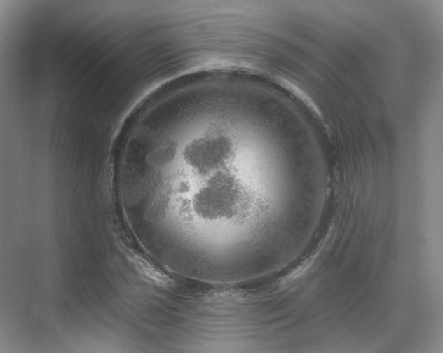 X0000075831021200609151233