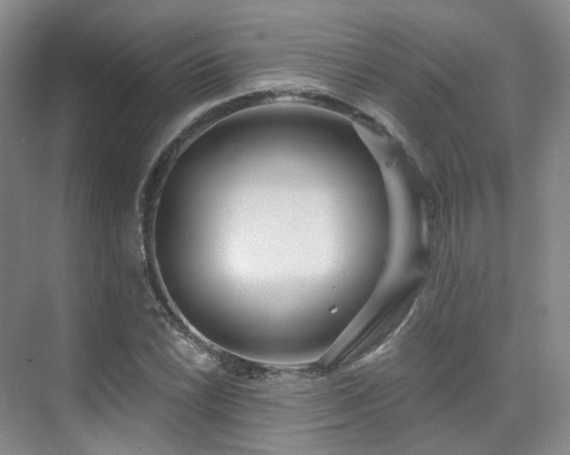 X0000075831022200609151233