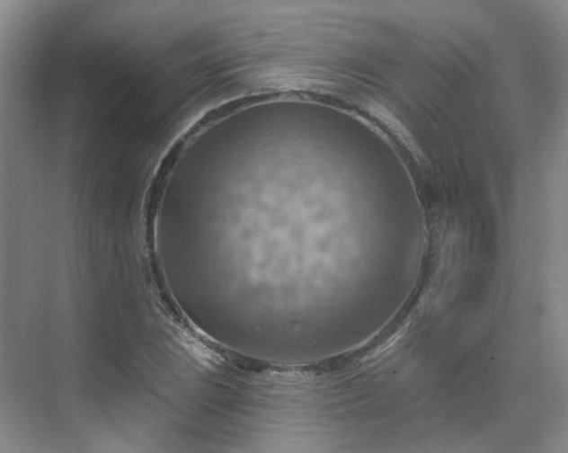 X0000075831023200609151233