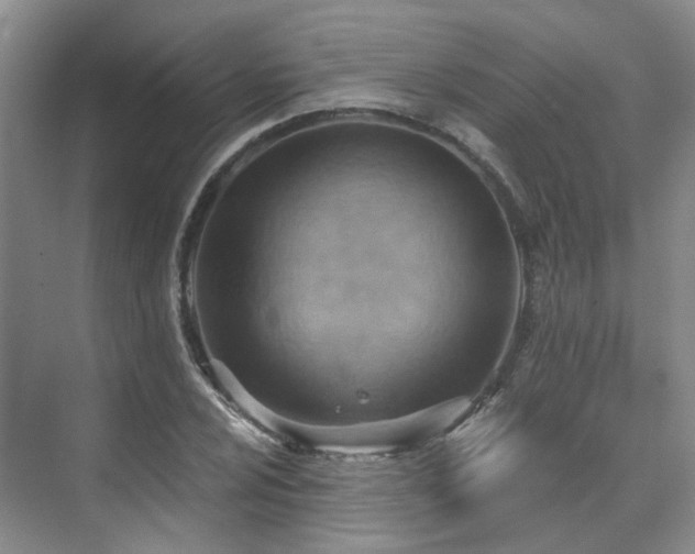 X0000075831024200609151233