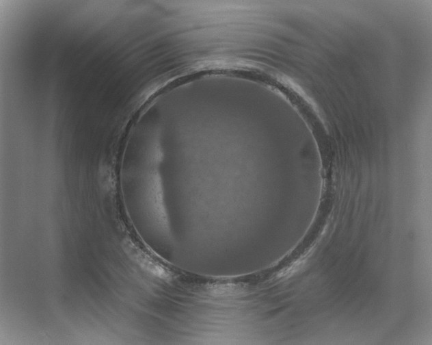 X0000075831025200609151233