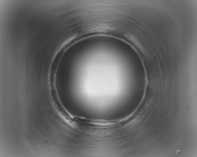 X0000075831026200609151233