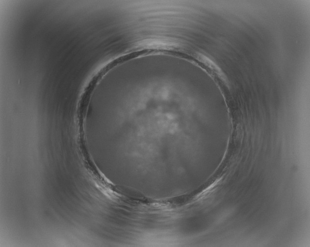 X0000075831027200609151233