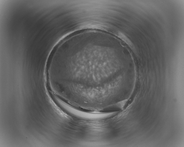 X0000075831028200609151233