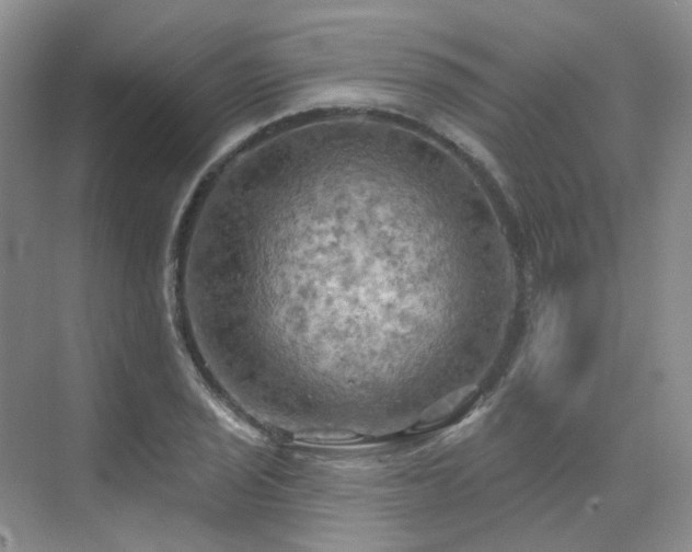 X0000075831029200609151233