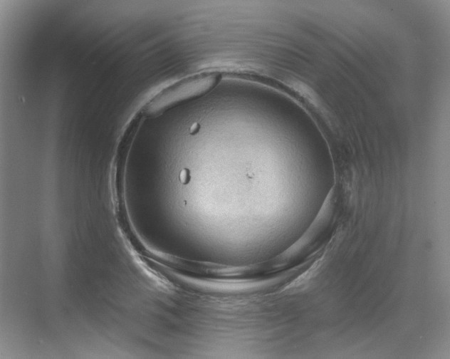 X0000075831030200609151233