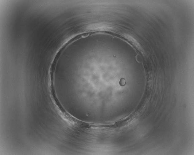 X0000075831031200609151233