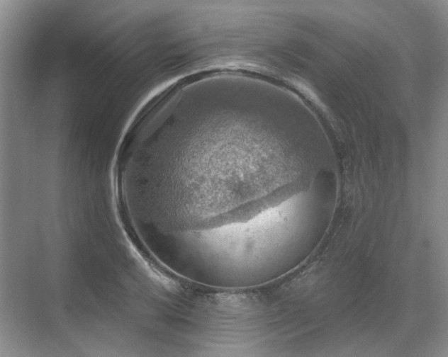 X0000075831032200609151233