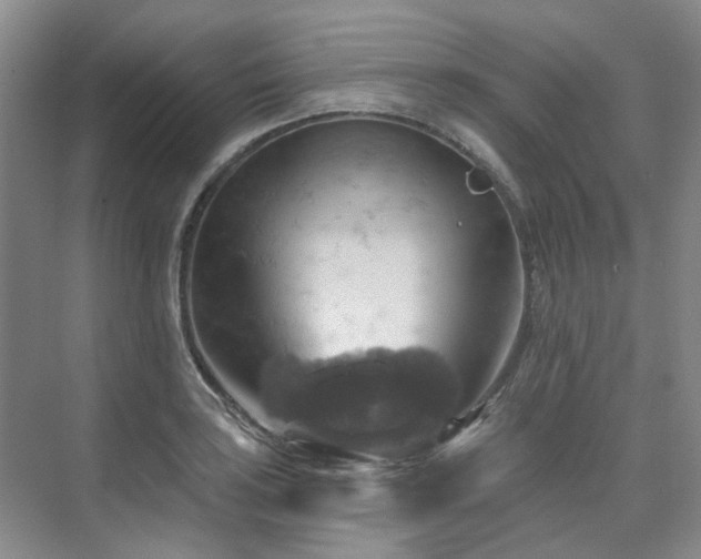 X0000075831035200609151233