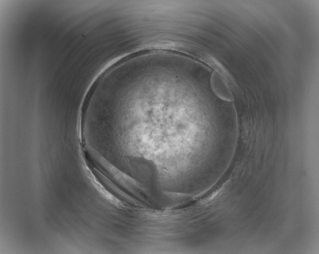 X0000075831036200609151233