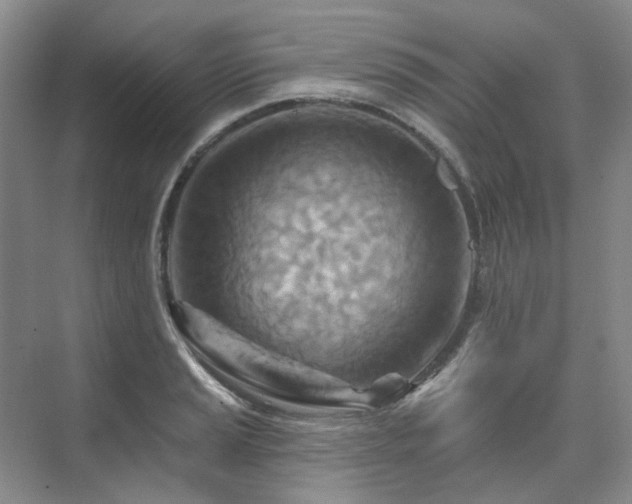 X0000075831037200609151233