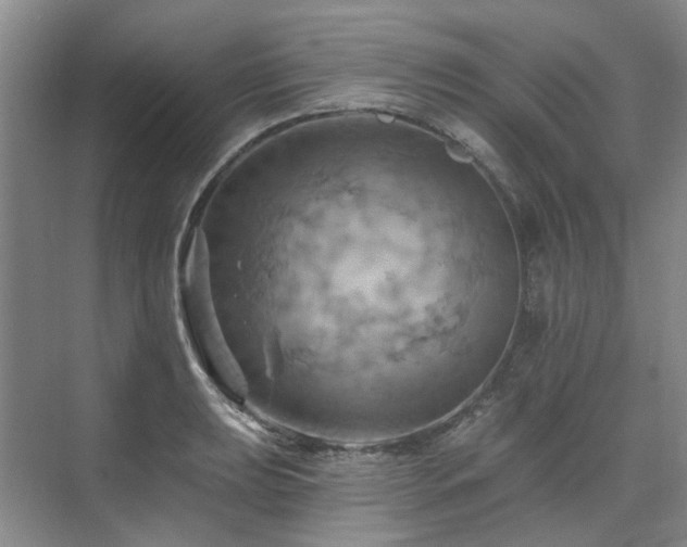 X0000075831039200609151233