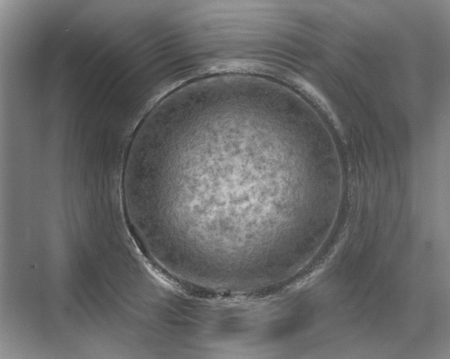 X0000075831041200609151233