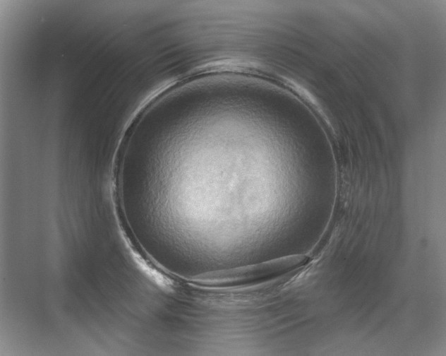 X0000075831042200609151233