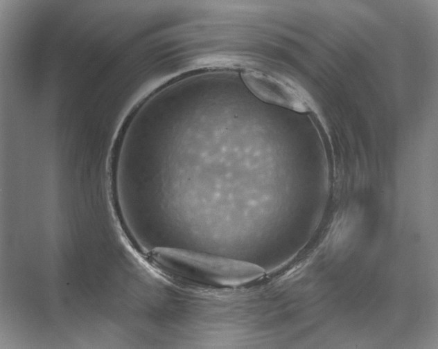 X0000075831045200609151233