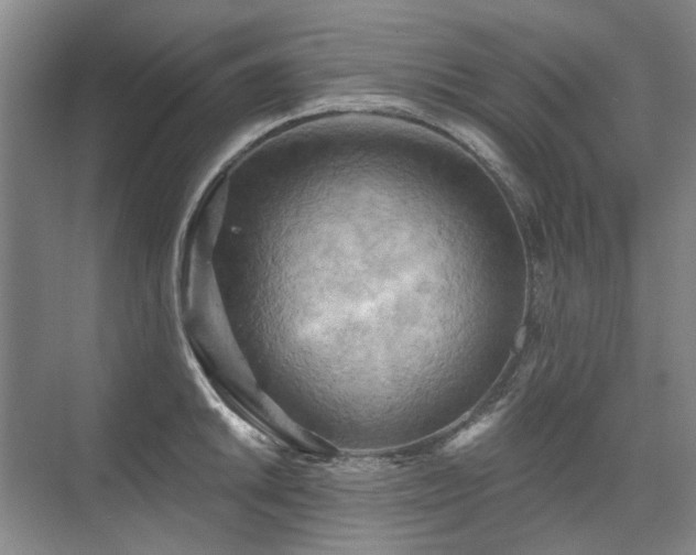 X0000075831046200609151233